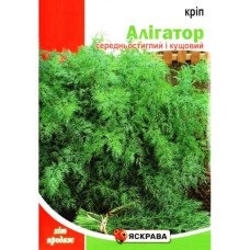 Насіння кропу кущового Алігатор, Яскрава, 15г