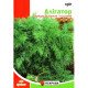 Насіння кропу кущового Алігатор, Яскрава, 15г