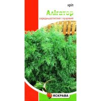 Насіння кропу кущового Алігатор, Яскрава, 2,5г