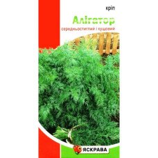 Насіння кропу кущового Алігатор, Яскрава, 2,5г