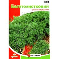 Насіння кропу Багатолистковий, Яскрава, 20г