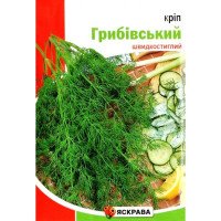 Насіння кропу Грибівський, Яскрава, 20г