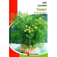 Насіння кропу кущового Салют, Яскрава, 20г