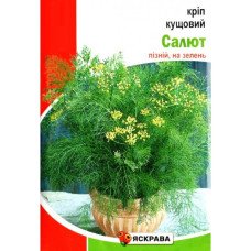 Насіння кропу кущового Салют, Яскрава, 20г