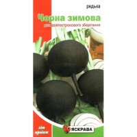 Насіння редьки Чорна Зимова, Яскрава, 2г