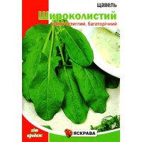 Насіння щавелю Широколистковий, Яскрава, 10г