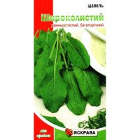 Насіння щавелю Широколистковий, Яскрава, 2г
