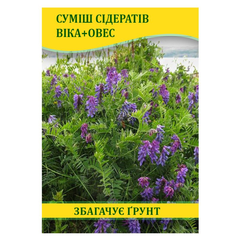 Насіння Суміш Сідератів Віка + Овес, 100г