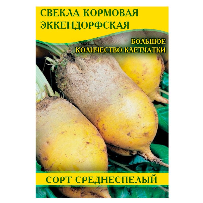 Насіння буряку кормового Еккендорфський, 100г