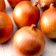 Насіння цибулі Глобус, 100г