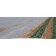 Агроволокно біле Agreen, рулон, щільність 17г/м.кв, ширина 3,2м, довжина 100м