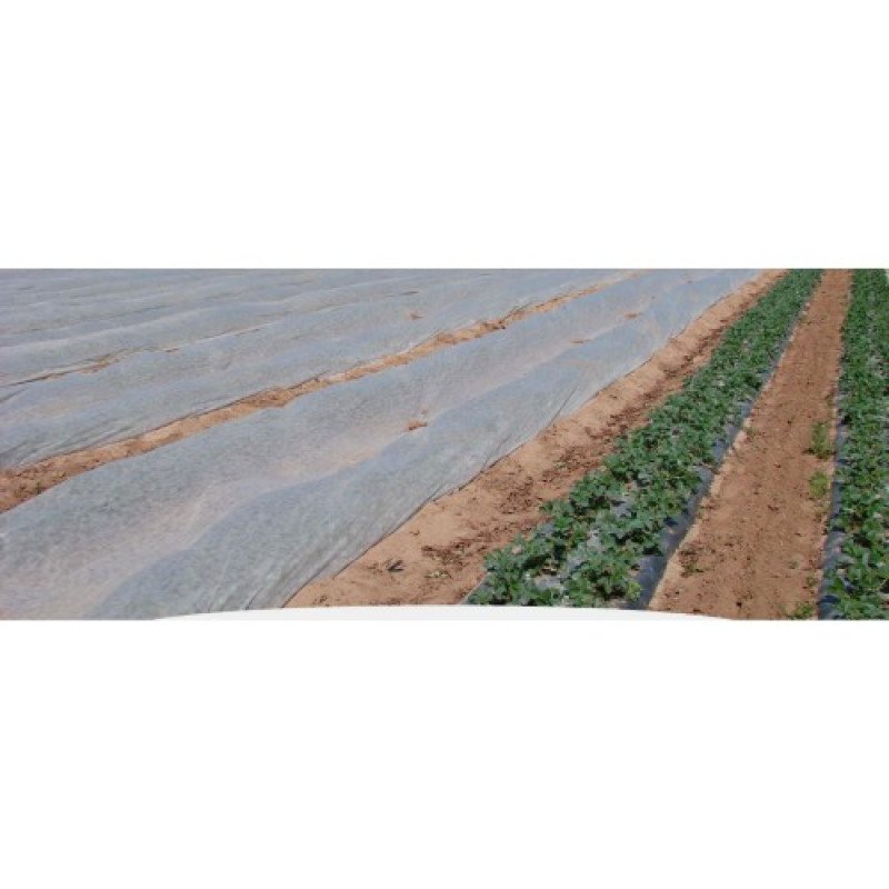 Агроволокно біле Agreen, рулон, щільність 30г/м.кв, ширина 3,2м, довжина 100м