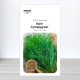 Насіння кропу Супердукат, Україна, Marvel, 10г