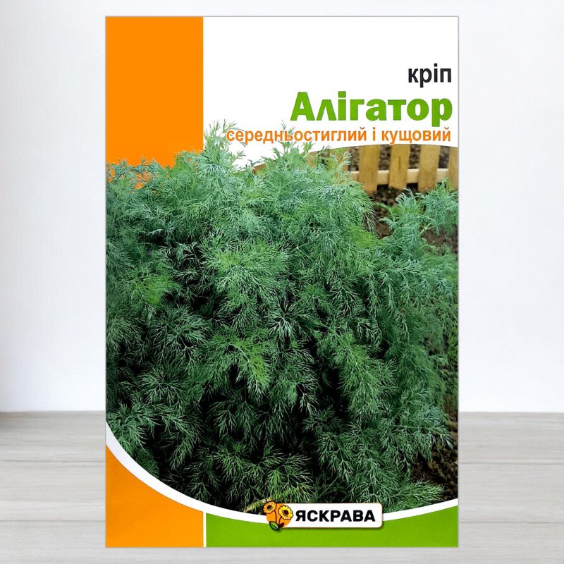 Насіння кропу кущового Алігатор, Яскрава, 15г