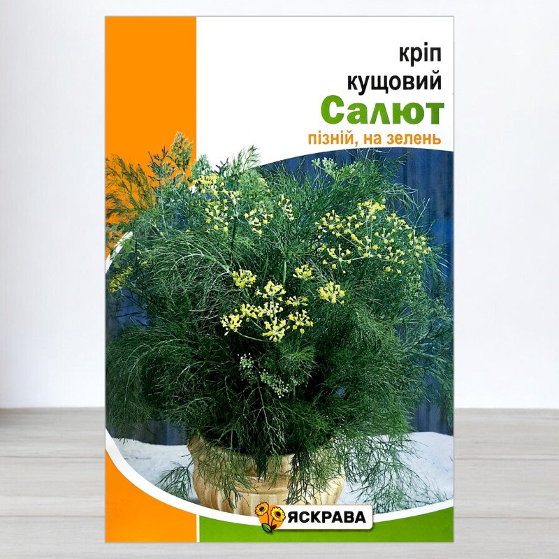 Насіння кропу кущового Салют, Яскрава, 20г