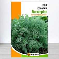 Насіння кропу кущового Асторія, Яскрава, 20г
