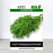 Семена укропа Алигатор, 1кг