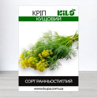 Насіння кропу Кущовий, 1кг