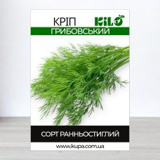 Семена укропа Грибовський, 1кг