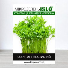 Семена микрозелени чечевицы Канадка Червона, 100г