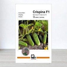 Семена огурца Криспина F1, АПГ Nunhems, Нидерланди, 15 насинин