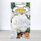 Насіння капусти кольорової Сноубол, Roltico, Польща, 1г