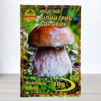 Гриб Міцелій Білий Боровик, 10г