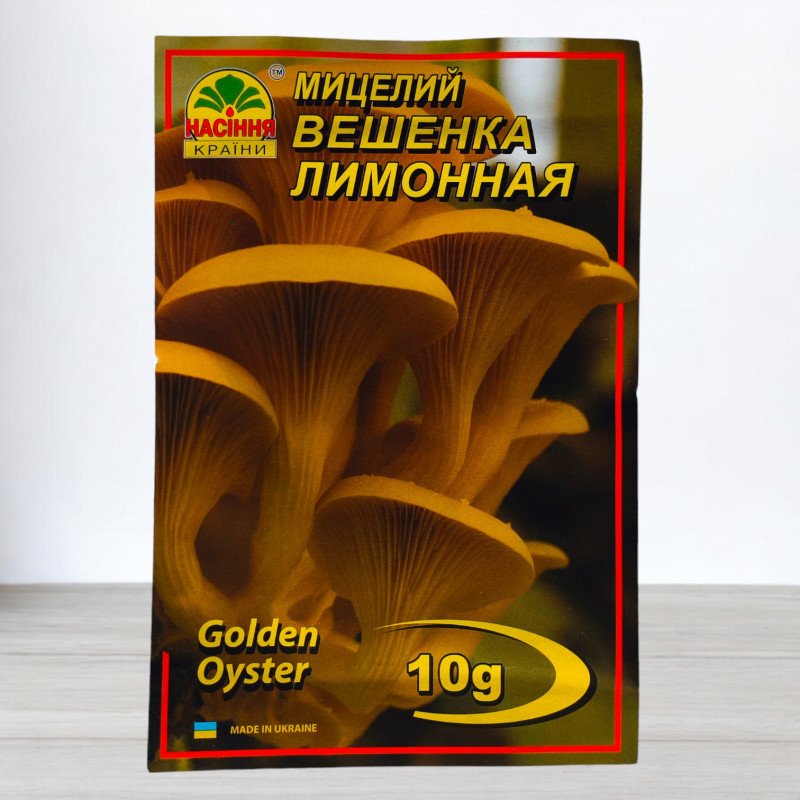 Гриб Міцелій Глива Лимонна, 10г