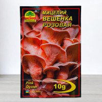 Гриб Міцелій Глива Рожева, 10г