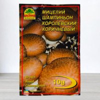 Гриб Міцелій Печериця Королівська Коричнева, 10г
