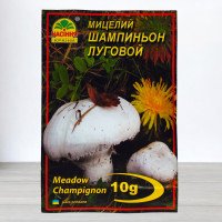 Гриб Міцелій Печериця Лугова, 10г
