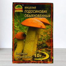 Гриб Міцелій Підосичник Звичайний, 10г