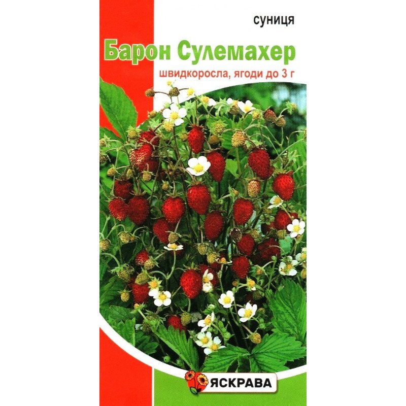 Насіння суниці Барон Сулемахер, Яскрава, 0,1г