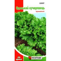 Насіння салату Одеський Кучерявець, Яскрава, 2г