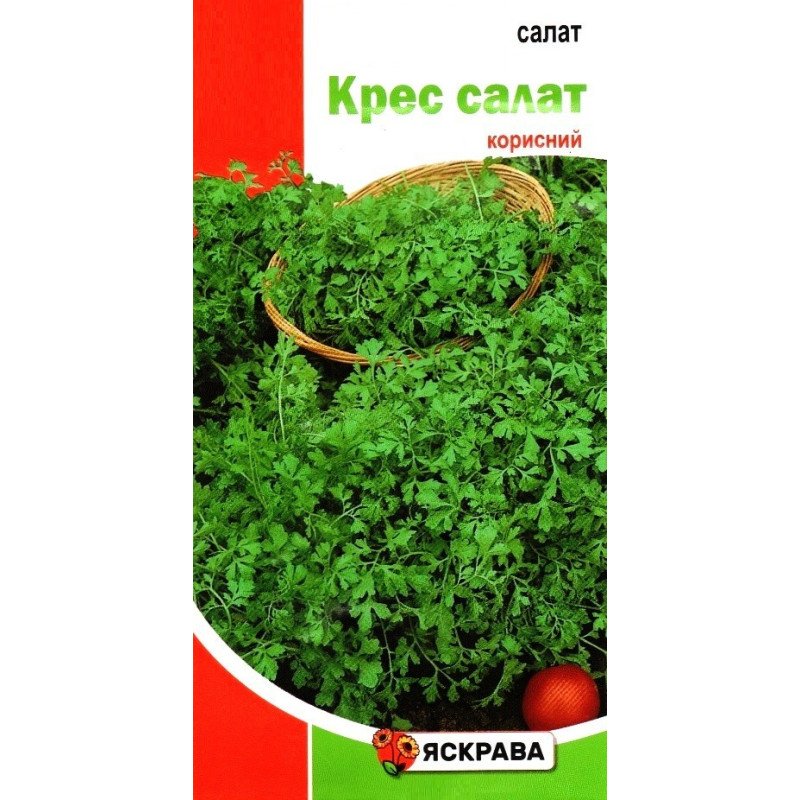 Насіння салату Кресс, Яскрава, 2г