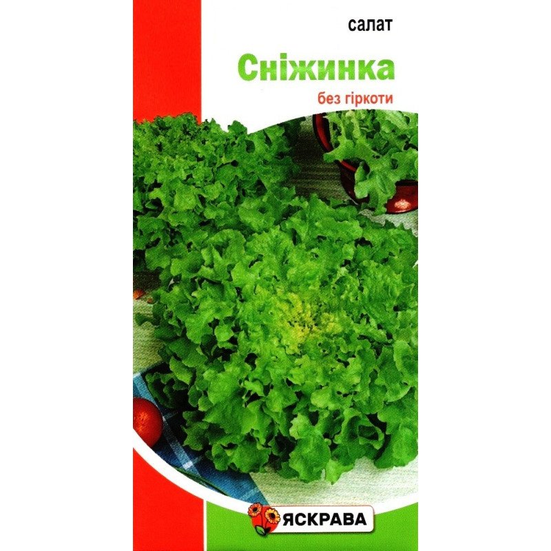 Насіння салату Сніжинка, Яскрава, 2г