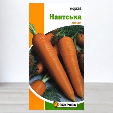 Насіння моркви Нантська, Яскрава, 3г
