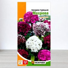 Насіння гвоздики Турецька Махрова, Яскрава, 0,5г