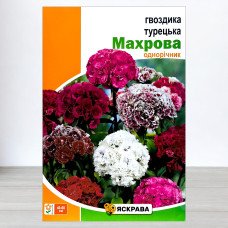 Насіння гвоздики Турецька Махрова, Яскрава, 3г