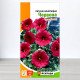 Насіння петунії мініатюрної Червоної, Яскрава, 0,1г