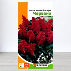 Насіння шавлії низької блискучої Червоної, Яскрава, 0,1г