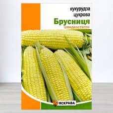 Насіння кукурудзи цукрової Брусниця, Яскрава, 20г