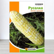 Насіння кукурудзи цукрової Русалка, Яскрава, 20г
