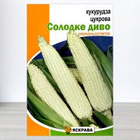 Насіння кукурудзи цукрової Солодке Диво, Яскрава, 20г