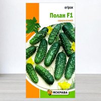 Насіння огірка бджолозапильного Полан F1, Яскрава, 0,5г
