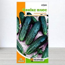 Насіння огірка бджолозапильного Фенікс Плюс, Яскрава, 1г