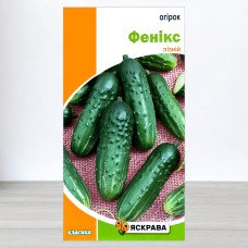 Насіння огірка бджолозапильного Фенікс, Яскрава, 1г