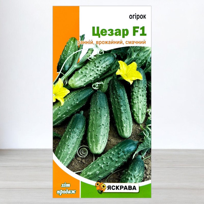 Насіння огірка бджолозапильного Цезар F1, Яскрава, 0,5г