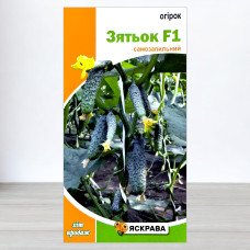 Насіння огірка партенокарпічного Зятьок F1, Яскрава, 0,3г
