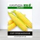 Насіння кукурудзи кормової Хотин, 100г